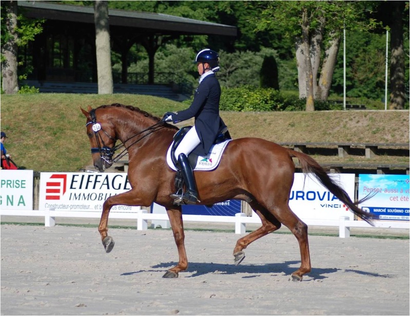 Isabel and Cheatodon during small tour @ CDI5* Compiegne 2015