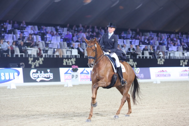 Isabel and Cheatodon @ CDI5*Mechelen 6th place small tour 2015
