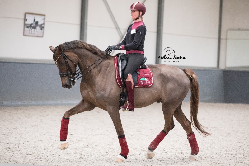 Isabel Cool and Herr Charmeur training @ Coolhorses 2020