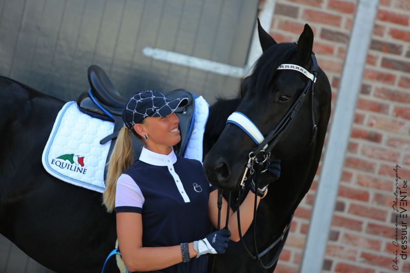 Home | Coolinvest Nv / Coolhorses